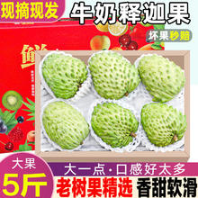 粤迎 凤梨牛奶释迦果 新鲜番荔枝冰淇淋释迦摩尼果 广西水果 3斤优选果 单果150g+ 净重2.5斤