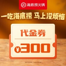 美团 海底捞夜宵车 300元代金券 限1张