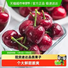 喵满分 智利进口车厘子XL到4J级5斤装