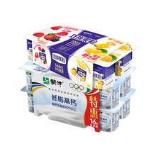 蒙牛 五红五黑乳酸菌酸奶8杯+低脂高钙16杯 24杯