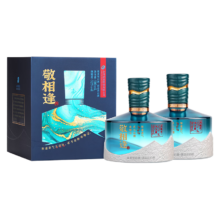 舍得 敬相逢 52° 浓香型白酒 500ml×2瓶