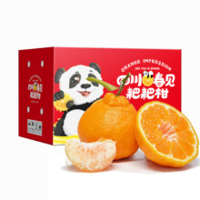 泰汇 春见耙耙柑 新鲜水果 整箱孕妇橘子 时令柑橘 净重4.5斤 单果140g++