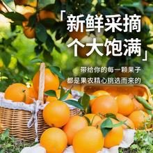 田澄鲜 赣南直发脐橙现摘现发正宗江西 4.5斤