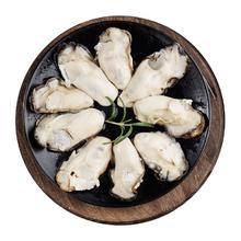 限移动端、京东百亿补贴：美加佳 韩国大号冷冻牡蛎肉 生蚝肉 净重500g