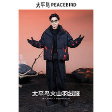 太平鸟 真五折！火山 美式潮冬季立领保暖防寒羽绒服