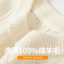 超V：FORTEI 澳洲100%绵羊毛 绞花男士毛衣 圆领 25年秋冬款