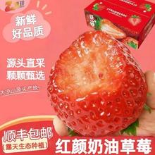 正宗大凉山红颜奶油草莓 1.5斤净重 单果15g+ 彩箱 顺丰