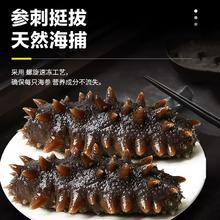 颐口福 即食海参9A礼盒 1000g 15-18只/斤（化冻即食）