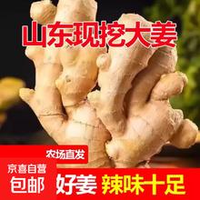 京喜 山东窖藏大黄姜5斤