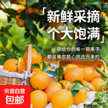 江西赣南脐橙 赣州大果 当季现摘新鲜 9斤净重（85-95mm带箱10斤）