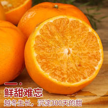 梦宛怡 沃柑 广西武鸣 甜沃柑 当季新鲜 皮薄多汁 整箱 净重8斤 尝鲜小果60-65mm