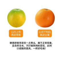 江西赣南脐橙 当季新鲜水果 榨汁礼盒装 9斤单个200g+