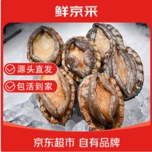 今日必买：鲜京采 鲜活鲍鱼1斤（10-12只）源头直发
