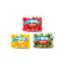 88VIP会员：一颗大 樱桃番茄精品粒装酸甜爆汁基地直发458*2盒