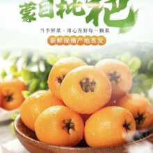 云南蒙自 甜枇杷 新鲜水果 当季长虹琵琶枇杷 现摘树上熟 整箱1斤试吃装 单果重15克+