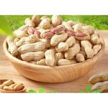 浙梅 小花生502g带壳零食核桃味