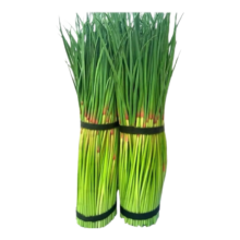 生鲜蔬菜 农家蒜薹 1斤