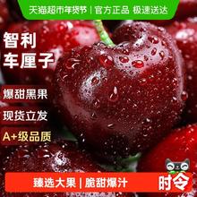 限移动端：京运达 空运智利车厘子新鲜水果5斤樱桃大果当季整箱4j礼盒