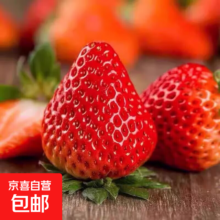 京东陆运 宁玉草莓 草莓牛奶草莓 中果净重400g 单果13g 带盒1斤