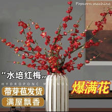 优跃 水培干枝梅花 40-50cm 20枝