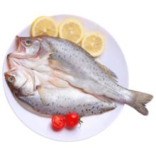 速鲜 新鲜活冻三去海鲈鱼 200-250g*6条