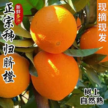 悯农 纽荷尔脐橙 湖北秭归伦晚柑橘 手剥橙 净重8.5斤 严选中果汁多味美150g起