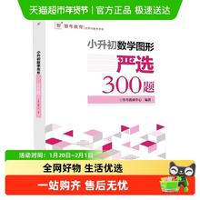 小升初数学图形严选300题小学教辅 小升初毕业升学新华书店