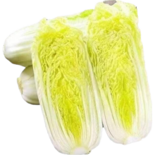 三人团：当季新鲜娃娃菜小白菜黄心白菜 3颗装*1包