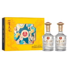 五粮液 一尊天下 52° 浓香型白酒 500ml×2瓶