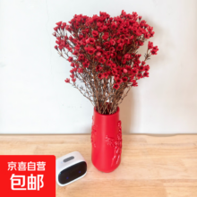 腊梅鲜花 澳洲腊梅 年宵鲜花 云南产地直发 京东快递 红色 1束（100g）长60-70cm 送花瓶1个