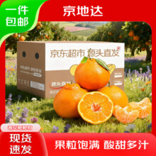 晓筱农场 春见耙耙柑 5斤 单果140-190g 中大果 丑橘子水果