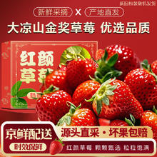 好媛好宇 草莓 大凉山99红颜草莓 2斤装 SS级甄选 单果12g+净重1.2斤