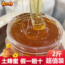 煌小馋 【假一赔十】大别山土蜂蜜纯正天然农家自产两斤装