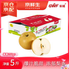 京鲜生 长城丰水梨 净重5斤 单果250g+ 生鲜水果礼盒