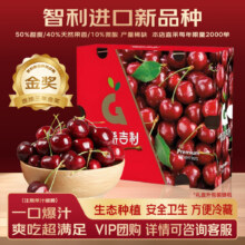 丸宠 智利大樱桃 4J级12-15g 10斤净重 原箱锁鲜 现货SF次日达