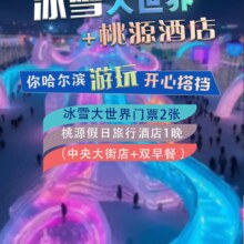 美团 哈尔滨冰雪大世界 双人门票+3钻桃源酒店1晚+双早