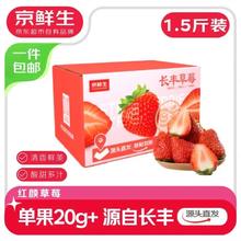 限移动端、京东百亿补贴：京鲜生 红颜草莓 单果20-30g 900g