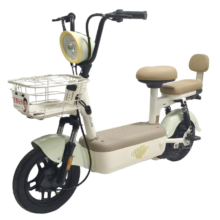 五星钻豹 电动自行车 2026新国标 超长续航60km 芦荟浅绿 家用通勤