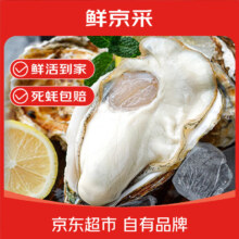 鲜京采 鲜活生蚝2XL 4斤装 14-17只 海鲜贝类 源头直发 年货