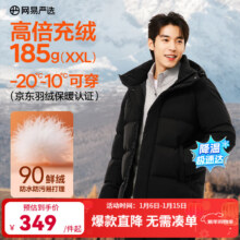 京东PLUS：网易严选 90鲜绒轻暖面包服羽绒服男 通勤商务 石墨黑 L -20℃抗寒无氟防水防污