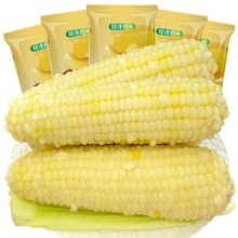 有机白糯玉米 粘黏真空装 2根 单棒＞180g
