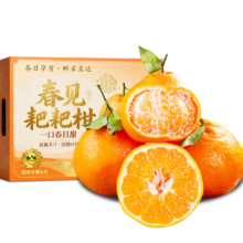 四叔公 春见耙耙柑 5斤装 净4.5斤 9A精选果 单果65-75mm 超甜礼盒水果