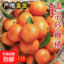 广西砂糖橘 净重5斤 单果40mm以下