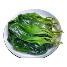 霞浦海带苗火 250g*1袋
