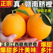 粤迎 赣南脐橙 手剥橙子 当季新鲜水果 10斤精选装 净9斤 香甜爆汁