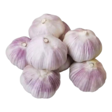 大蒜头 紫蒜 蔬菜调料 新鲜大果 网兜装 5头装 150g
