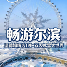 温德姆1晚住宿 双人冰雪大世界门票 早餐包含