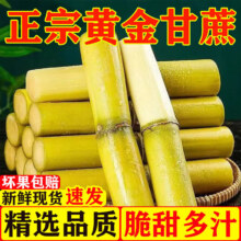 粤迎 云南黄金甘蔗 精选中段 9斤优选装 净重8.5斤 脆甜榨汁当季水果
