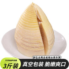 赣乐记 贞竹系列冬笋 500g*3袋 真空包装 对半切常规款