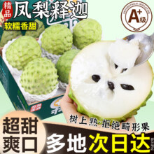 粤迎 牛奶凤梨释迦果 3斤A+级精选果 净2.5斤 香甜软糯 广西番荔枝